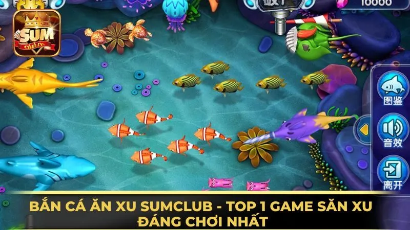 ban-ca-an-xu-sumclub-top-1-game-san-xu-dang-choi-nhat