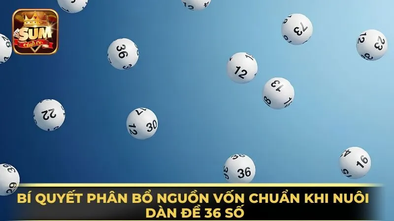 bi-quyet-phan-bo-nguon-von-chuan-khi-nuoi-dan-de-36-so