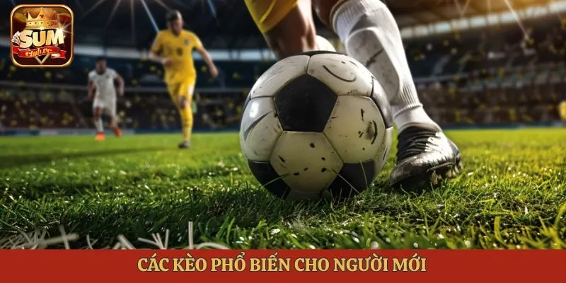 Các kèo phổ biến cho người mới
