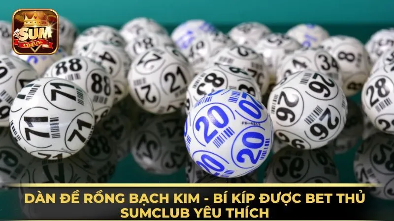 dan-de-rong-bach-kim-bi-kip-duoc-bet-thu-sumclub-yeu-thich