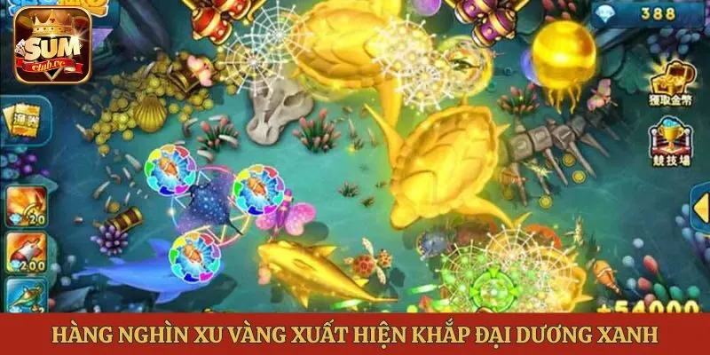 Hàng nghìn xu vàng xuất hiện khắp đại dương xanh