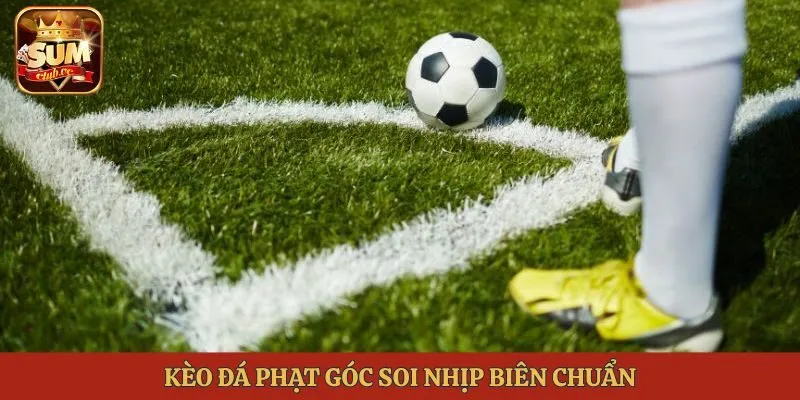 Kèo đá phạt góc soi nhịp biên chuẩn