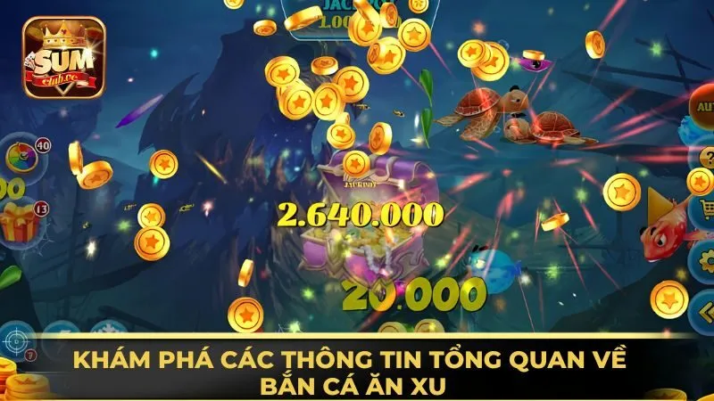 kham-pha-cac-thong-tin-tong-quan-ve-ban-ca-an-xu