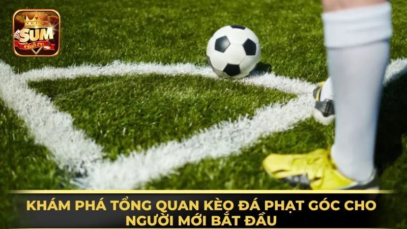 kham-pha-tong-quan-keo-da-phat-goc-cho-nguoi-moi-bat-dau