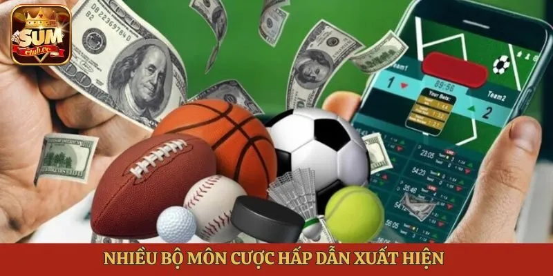 nhieu-bo-mon-cuoc-hap-dan-xuat-hien