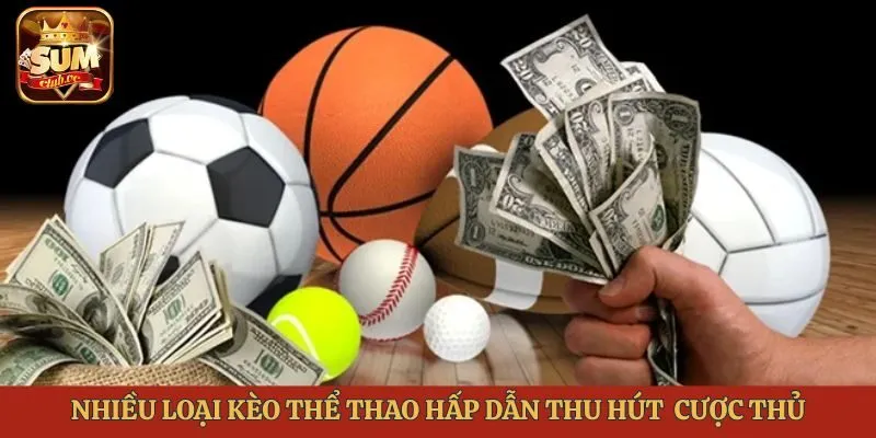 nhieu-loai-keo-the-thao-hap-dan-thu-hut-dong-dao-cuoc-thu
