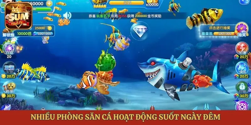 Nhiều phòng săn cá hoạt động suốt ngày đêm