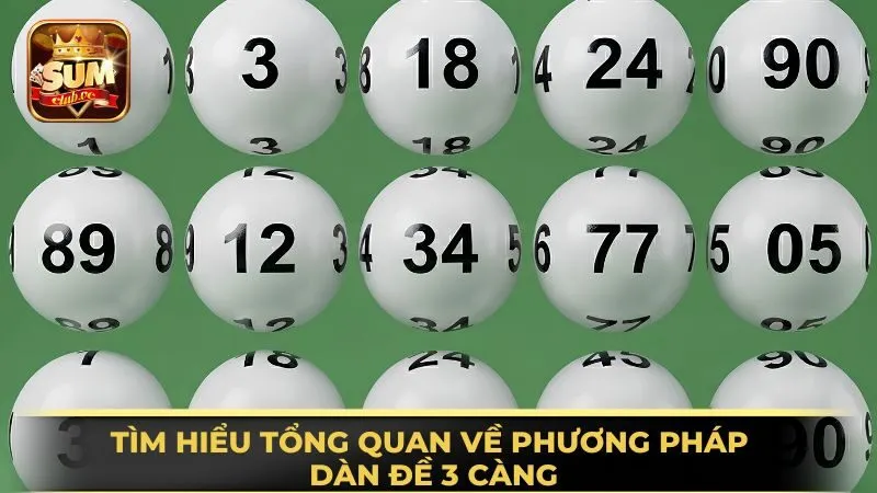 tim-hieu-tong-quan-ve-phuong-phap-dan-de-3-cang