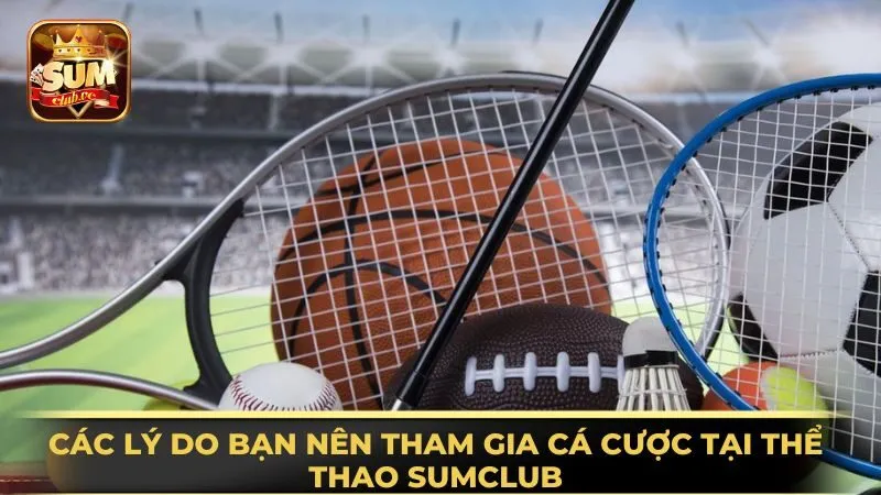 cac-ly-do-ban-nen-tham-gia-ca-cuoc-tai-the-thao-sumclub