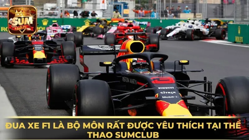 dua-xe-f1-la-bo-mon-rat-duoc-yeu-thich-tai-the-thao-sumclub