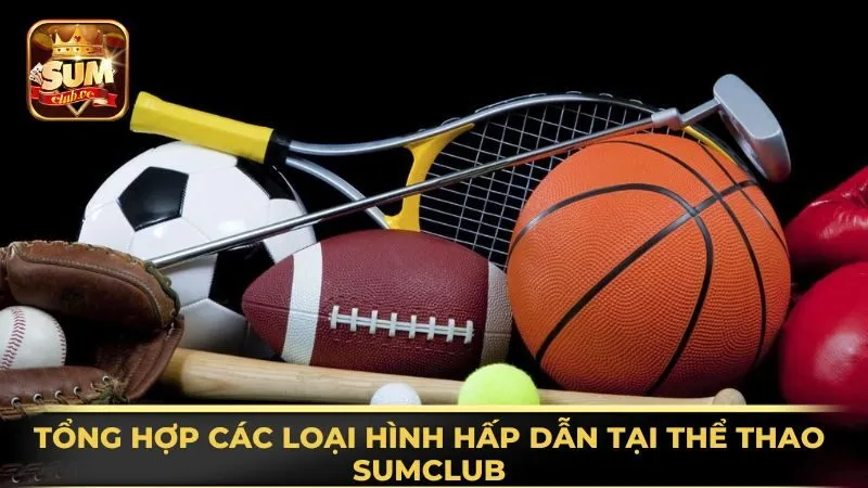tong-hop-cac-loai-hinh-hap-dan-tai-the-thao-sumclub