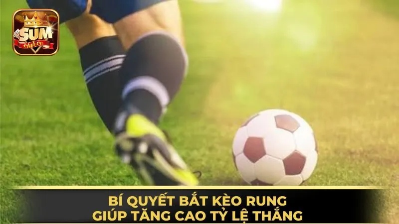 bi-quyet-bat-keo-rung-giup-tang-ty-le-thang