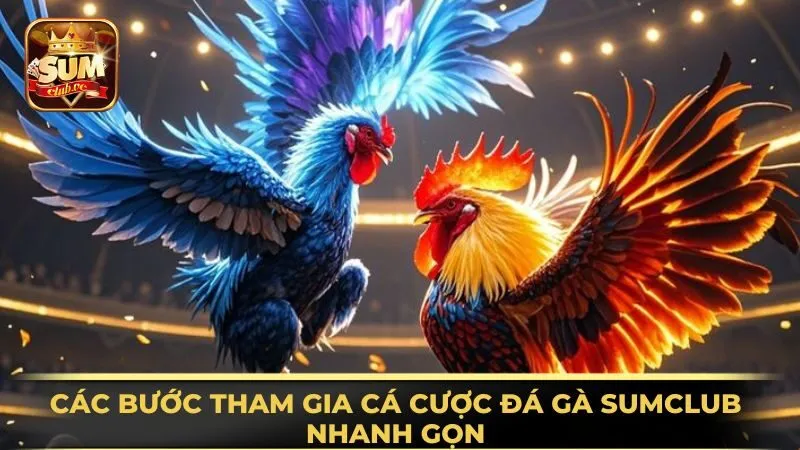 cac-buoc-tham-gia-ca-cuoc-da-ga-sumclub-nhanh-gon