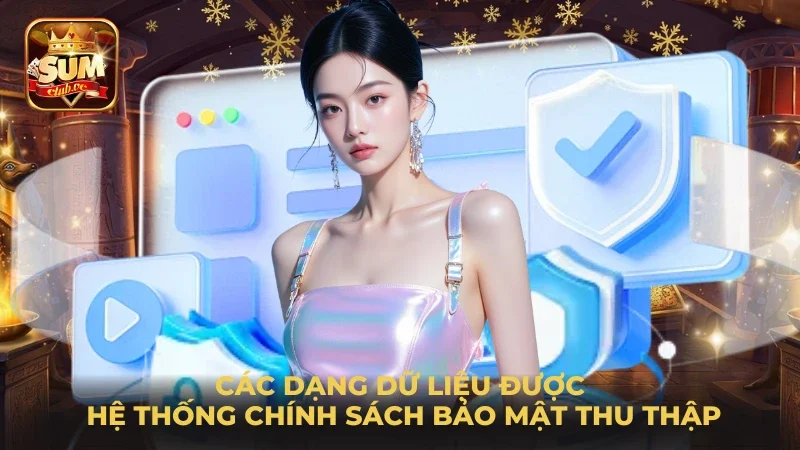 cac-dang-du-lieu-duoc-he-thong-chinh-sach-bao-mat-thu-thap