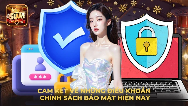 cam-ket-ve-nhung-dieu-khoan-chinh-sach-bao-mat-hien-nay