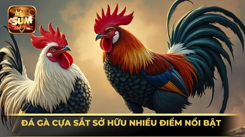 da-ga-cua-sat-so-huu-nhieu-diem-noi-bat