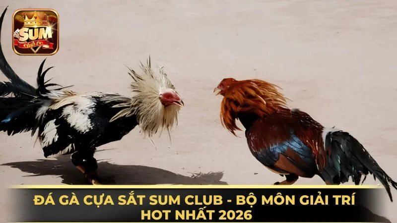 da-ga-cua-sat-sum-club-bo-mon-giai-tri-hot-nhat-2026