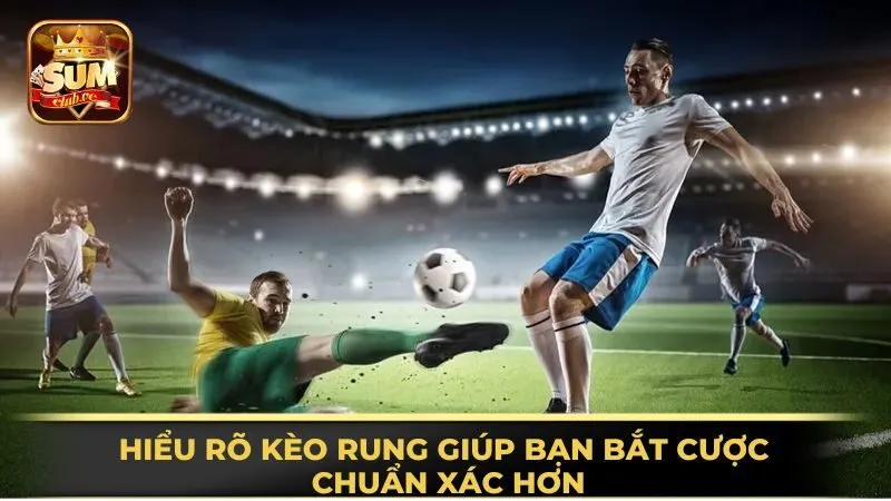hieu-ro-keo-rung-giup-ban-bat-cuoc-chuan-xac-hon