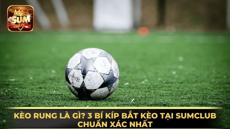 keo-rung-la-gi-3-bi-kip-bat-keo-tai-sumclub-chuan-xac-nhat