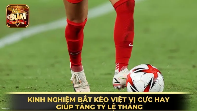 kinh-nghiem-bat-keo-viet-vi-cuc-hay-giup-tang-ty-le-thang