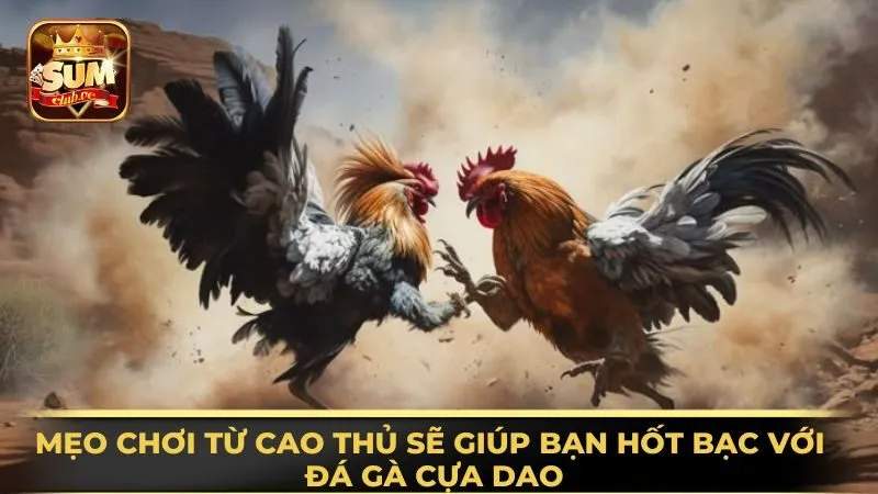 meo-choi-tu-cao-thu-se-giup-ban-hot-bac-voi-da-ga-cua-dao