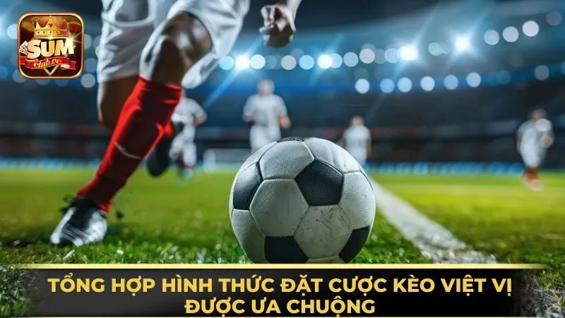 tong-hop-hinh-thuc-dat-cuoc-keo-viet-vi-duoc-ua-chuong