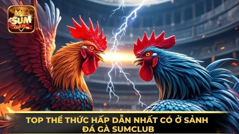 top-the-thuc-hap-dan-nhat-co-o-sanh-da-ga-sumclub